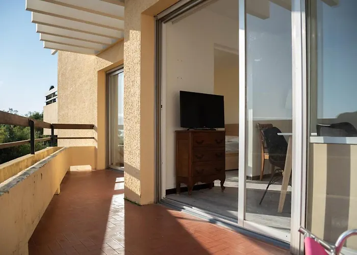 Le Lavandou: Appt T2 + Cabine, 250m Plage, Animaux Admis, Parking, Climatisation, 4-5 Pers. - Fr-1-803-18 *